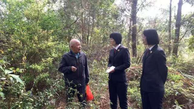 梅州检察“快实宣”三维发力解民忧 